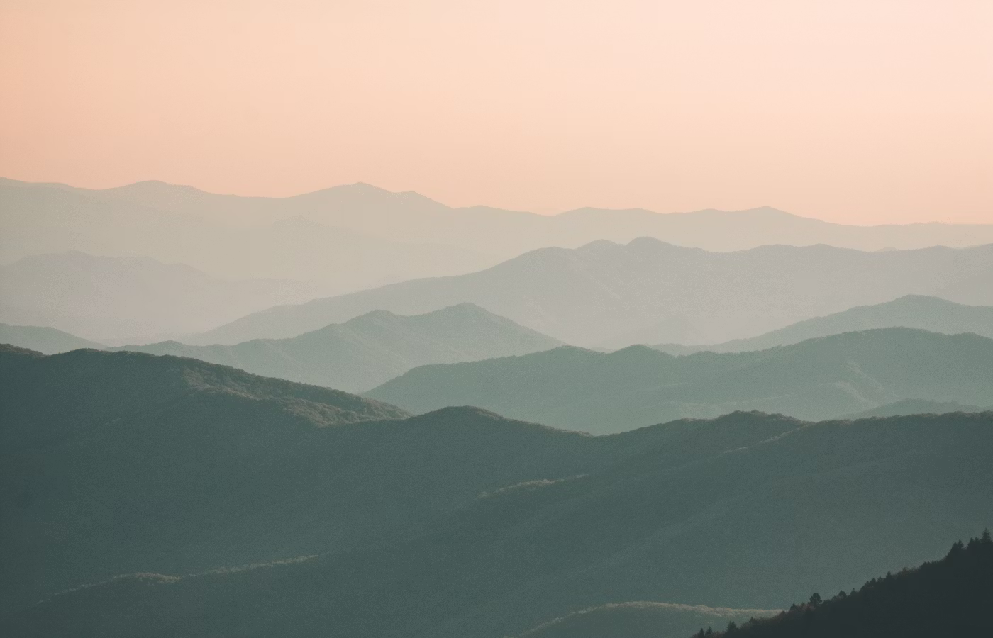 Ментальное здоровье для предпринимателя